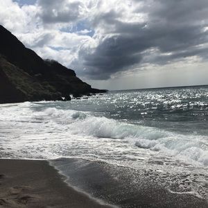 Meet your Posher, Nyah